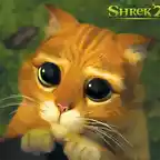 gato_shrek2