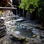 DSCN7919