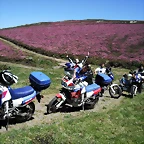 DSCF2549