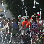 17, ofrenda de flores, marca