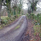 DSCN7368