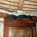 DSCF0032