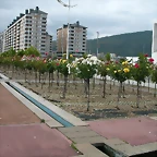 DSCN3140
