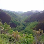DSCN3398