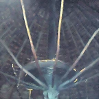 DSCF0051