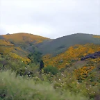 DSCN3172