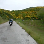 DSCN3176