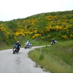 DSCN3177