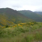 DSCN3180