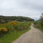 DSCN3196