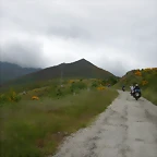 DSCN3181