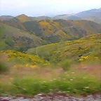 DSCN3185