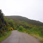 DSCN3390