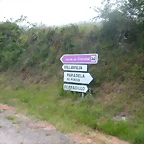 DSCN3204