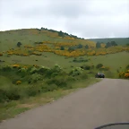 DSCN3205