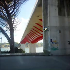 DSCN3356
