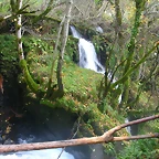 DSCN6077