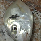 23082010640