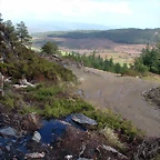 DSCN7667