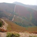 DSCN6317
