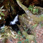 DSCN7867