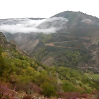 DSCN8460