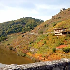 DSCN0626
