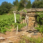 DSCN7180