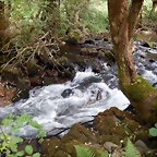 DSCN9770