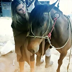 tamlledo_2015-10-12_15-49-33