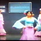 Pasarela 12-2-2015 (7)