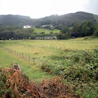 DSCN8366