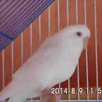 CIMG0529