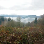 DSCN2287