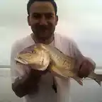 mi hermano y la corvina