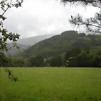 DSCN4727