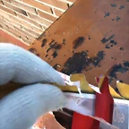 DSCF1210