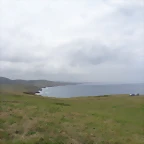 DSC01461