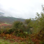 DSCN5882