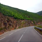 DSCN6146