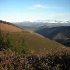 DSCN2514