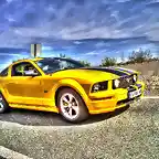 mustang alis 3 HDR