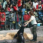 Zoo de Barcelona 23-04-11 069