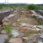 DSCN4229