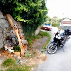 DSCN7659