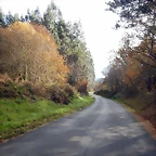 DSCN9402