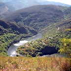 DSCN5036