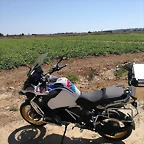 IMG_20210627_112459