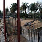 Zoo de Barcelona 07-01-2011 043