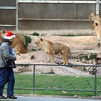 Zoo de Barcelona 07-01-2011 229